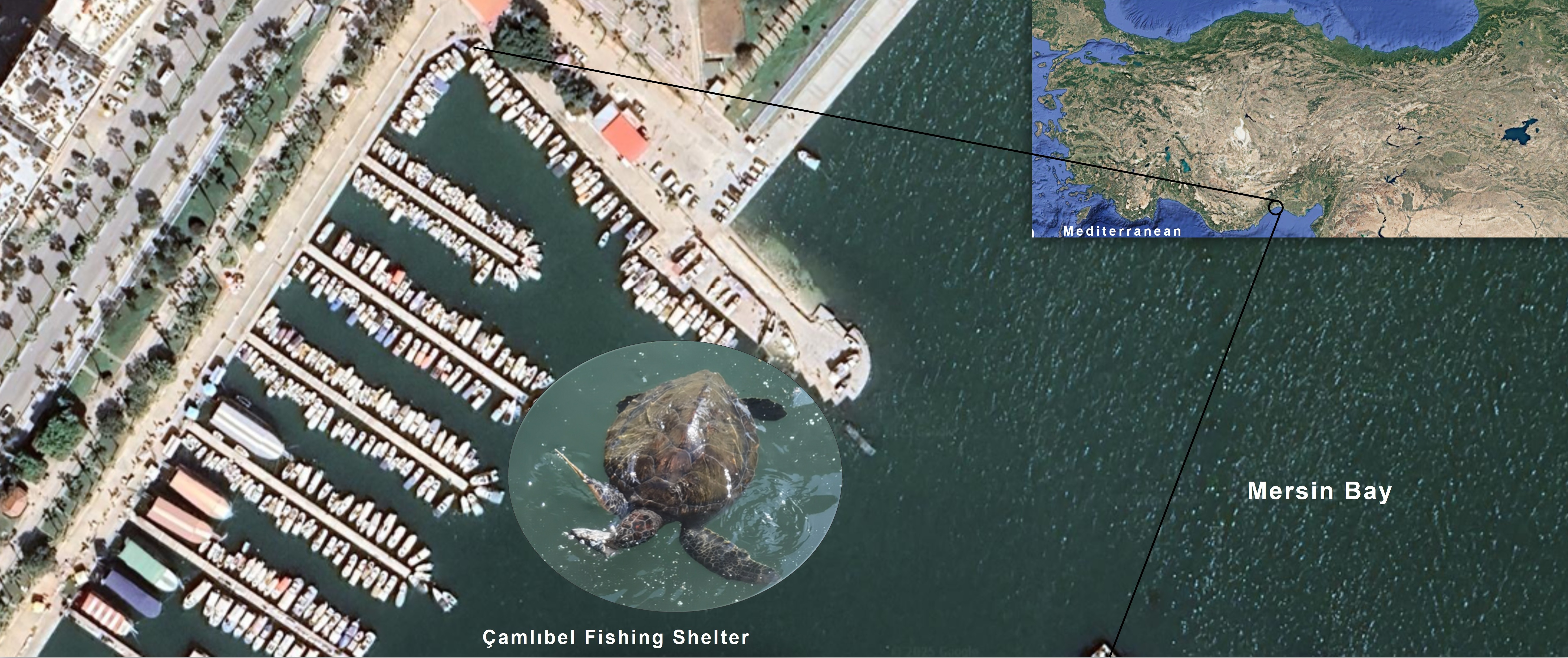 Sample of an image from paper